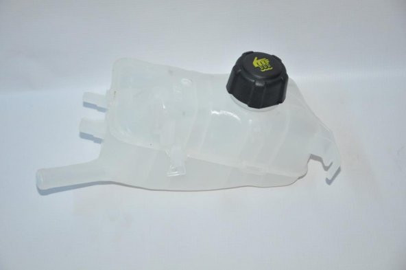 RENAULT MEGANE III-FLUENCE SCENIC  GENLEŞME KAVANOZU KAPAKLI - Resim 3