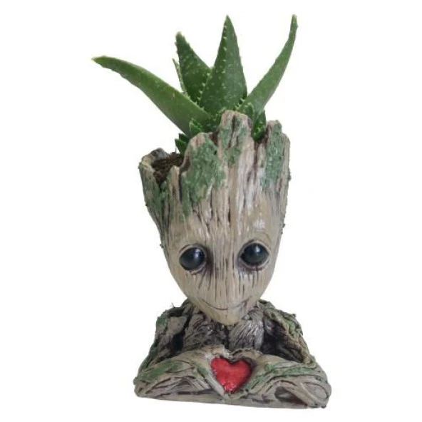 Groot Saksı Kalpli Bonsai Saksısı Kalemlik Sukulent sphagnum Yosunlar - 4