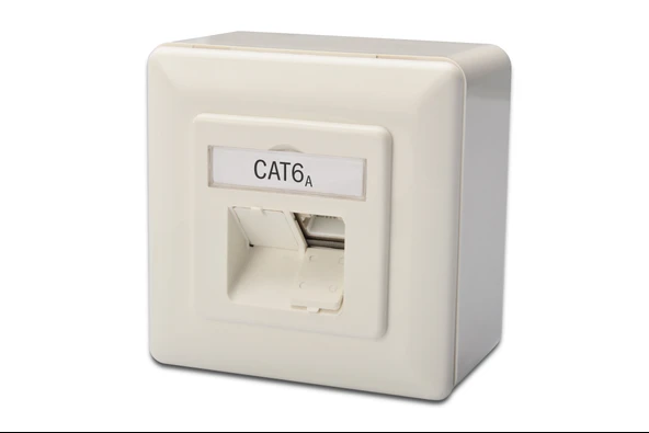 Digitus Sıva Üstü İkili RJ-45 Priz, CAT. 6A Class EA, Shielded (Zırhlı), 2 x RJ45 TdrTR