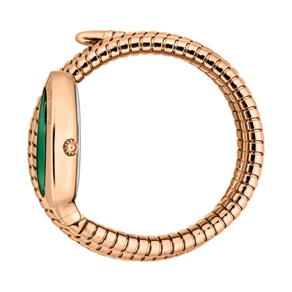 Just Cavalli JC1L232M0045 Kadın Kol Saati - Resim 2