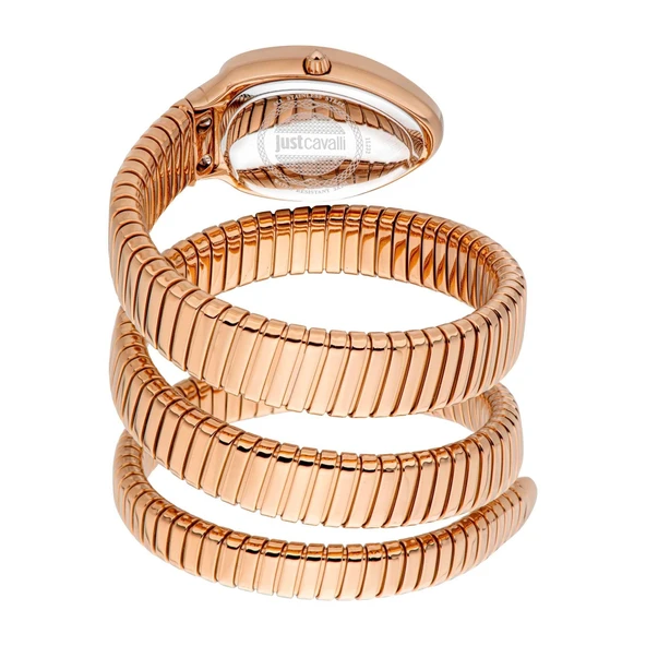 Just Cavalli JC1L232M0045 Kadın Kol Saati - Resim 3
