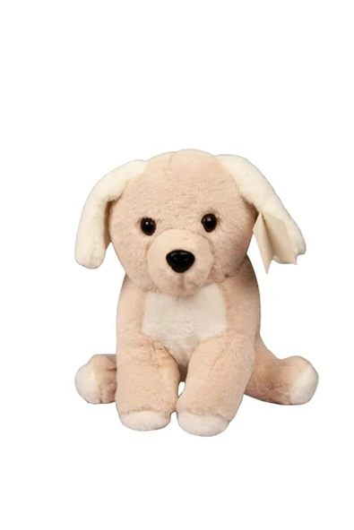 Polly Peluş Golden Köpek