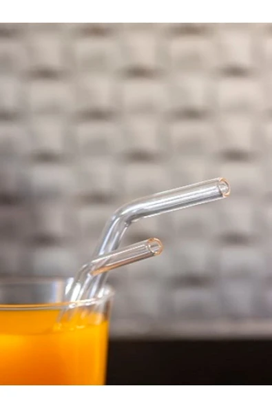 Akkoyunlu home 2'li Kıvrık Cam Pipet Ve Fırçası (9mm Çaplı) - 2