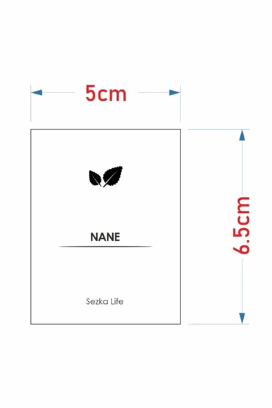 Sezka Life 12'li Metal Kapaklı Bambu Kaşıklı Cam Kavanoz Baharatlık Ve 32 Adet Baharat Etiket Seti - 240ml - 4
