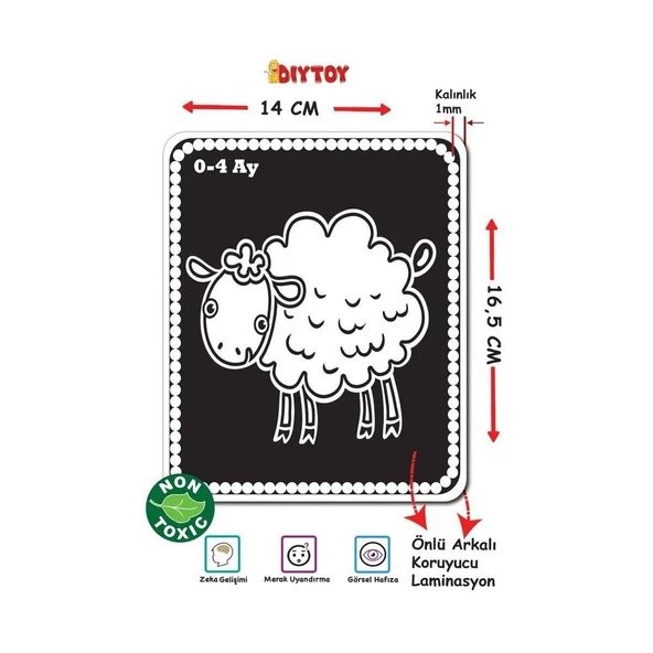 1369 F.CARDS BEBEĞİMİN İLK ZEKA KARTLARI - 3