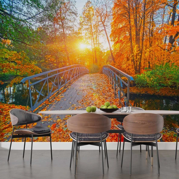 Sonbahar Doğa ve Nehir Manzaralı Duvar Kağıdı - Resim 5