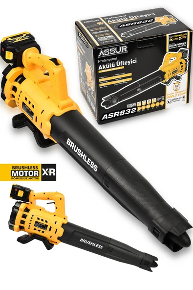 Assur Profesyonel 21 V Çift Akülü Turbo Motor 2800 Rpm Yaprak Hava Üfleme Makinesi