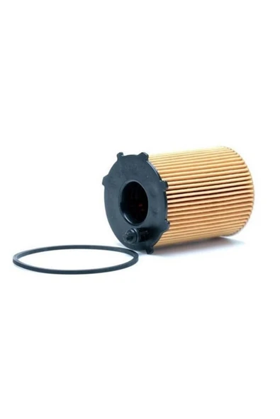 PURFLUX L343D-YAG FILTRESI 1.6 HDI P301 12  1109.AY