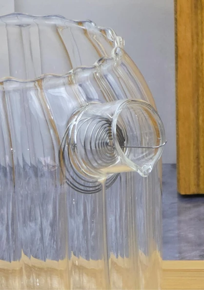 Ecolis Cam Yağdanlık Takımı - Mantar Kapaklı Yağlık Takımı - 2x750 ML - 5