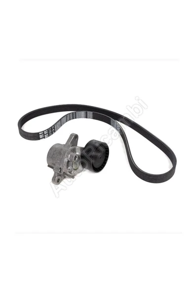 Universe INA 529037910-ALTERNATOR GERGI RULMANI KOMPLE+V KAYISI 1.5D CORSA F 20  1631627680