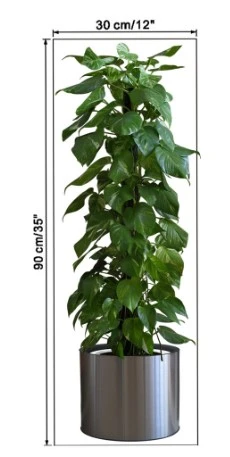 Saksılı Bitki Tasarımlı Yapışkanlı Sticker Resim 90*30 cm MC-665 - Resim 4