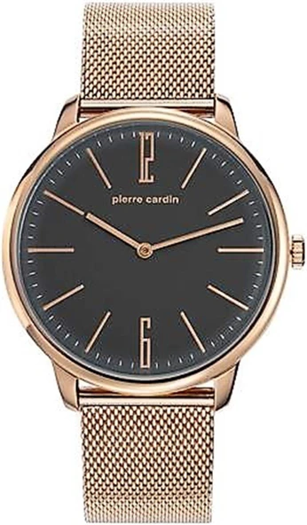 Pierre Cardin PC106991F53 Erkek Kol Saati
