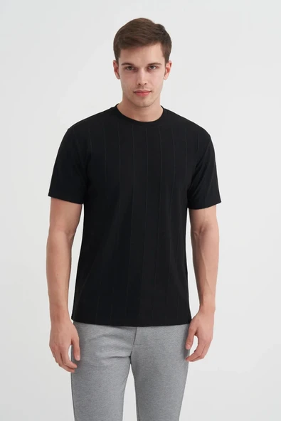 Cazador Regular Fit Bisiklet Yaka İnce Çizgili tişört - Resim 2