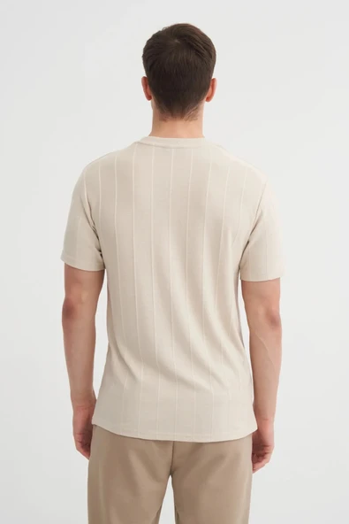 Cazador Regular Fit Bisiklet Yaka İnce Çizgili tişört - Resim 4