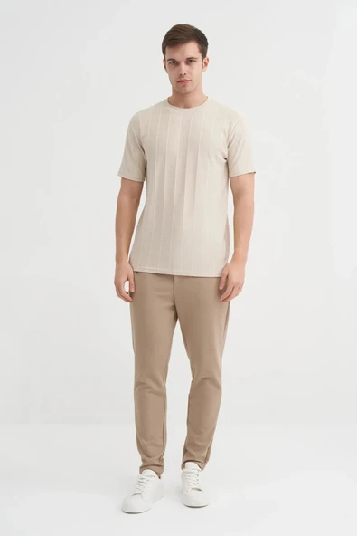 Cazador Regular Fit Bisiklet Yaka İnce Çizgili tişört ürün görseli 1