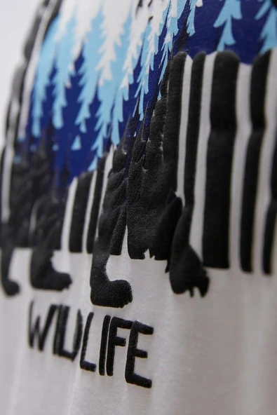 BAD BEAR ERKEK REID OS TİŞÖRT 25.01.07.025 - 10