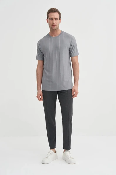 Cazador Regular Fit Bisiklet Yaka İnce Çizgili tişört ürün görseli 1