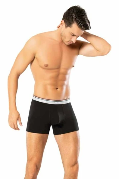 Looksense Erkek Dude Renkli Likralı Boxer 1300 - Resim 6