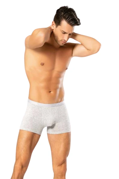 Looksense Erkek Dude İnce Bel Lastikli Likralı Boxer 1200 - Resim 5