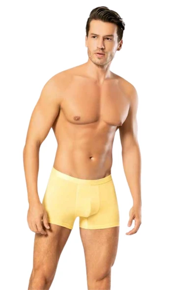 Looksense Erkek Dude İnce Bel Lastikli Likralı Boxer 1200 - Resim 7