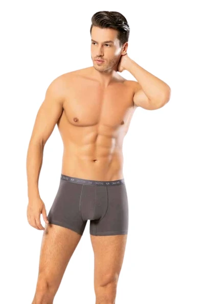 Looksense Erkek Dude İnce Bel Lastikli Likralı Boxer 1200 - Resim 2