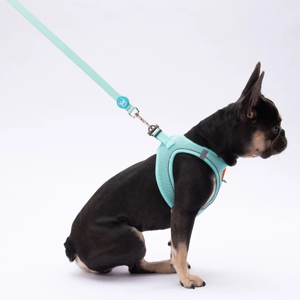 PawStar L09 Mint Sevk Kayışı - 4