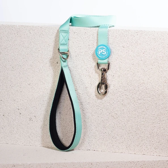 PawStar L09 Mint Sevk Kayışı