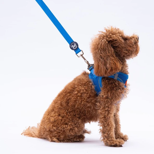 PawStar L06 Mavi Sevk Kayışı - Resim 2