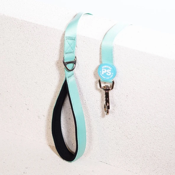 PawStar L09 Mint Sevk Kayışı - 3