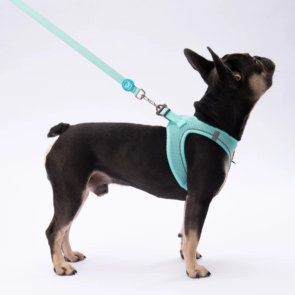 PawStar L09 Mint Sevk Kayışı - 2