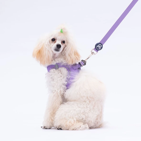 PawStar L10 Lila Sevk Kayışı - 2