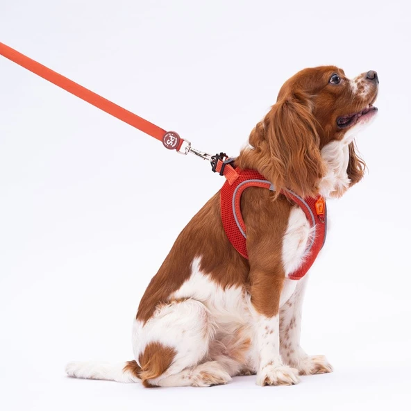 PawStar L11 Kiremit Sevk Kayışı - 2