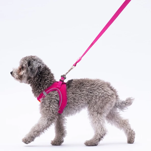 PawStar L12 Fuşya Sevk Kayışı - 2