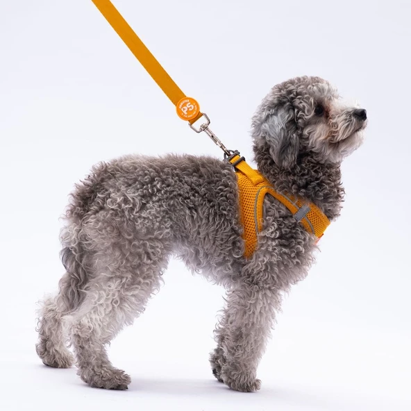 PawStar L07 Gold Sevk Kayışı - Resim 2