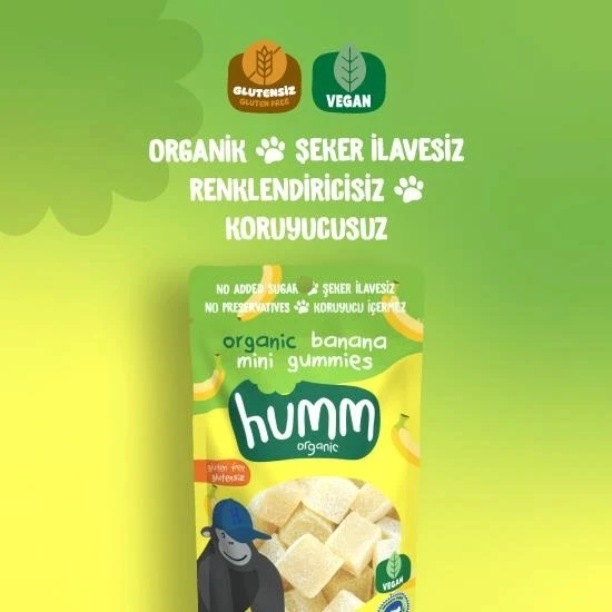 Nessiworld Humm Organik Muzlu Glutensiz Vegan Mini Küpler 30 Gr - 2