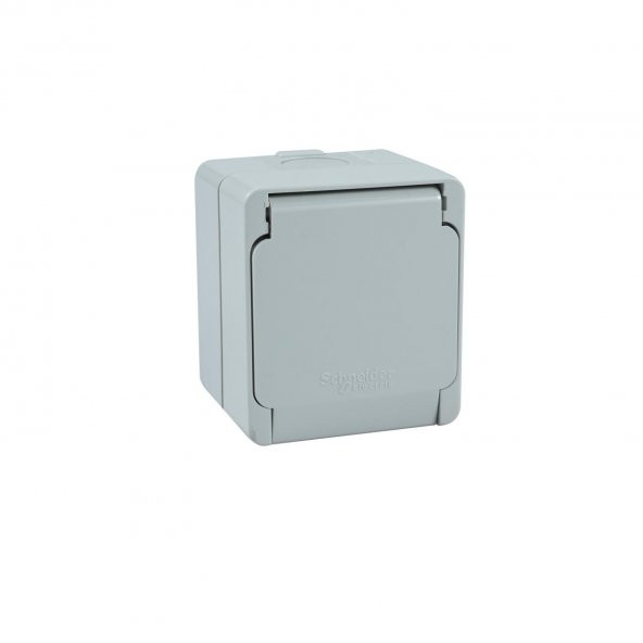 Schneider,Nemliyer RJ45 Cat5 Prizi - 2