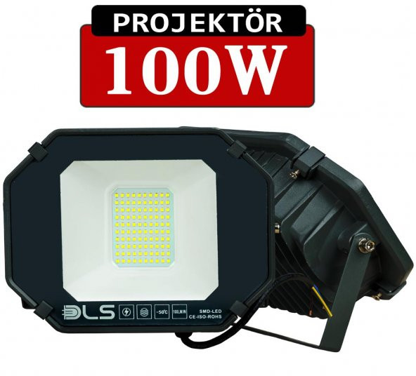 100W Projektör Dış Mekan Led Lamba DLS