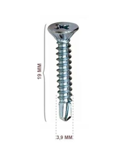 DOLPHİN YHB MATKAP UÇLU VİDA 3,9*19MM