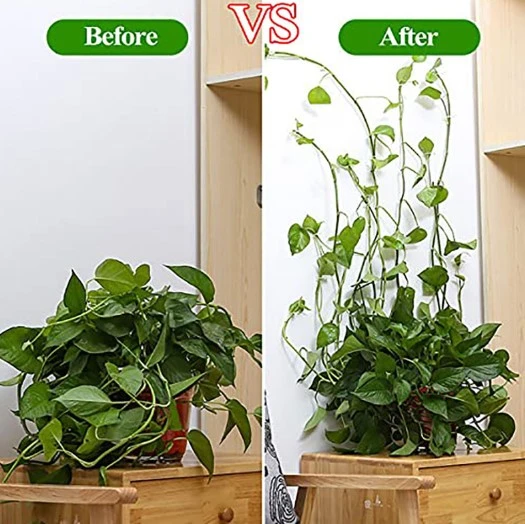 KENPAZAR Sarmaşık ve Kablo Düzenleyici Çok Amaçlı Klips 10 Adet - 4