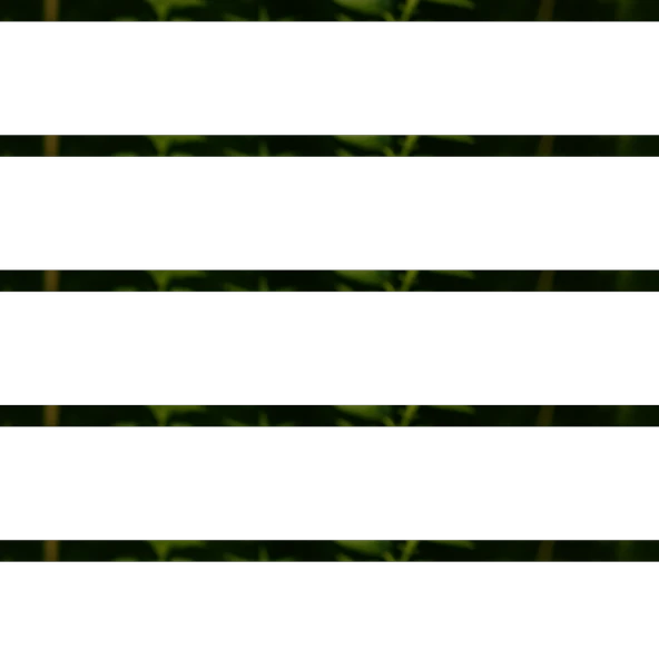 Isırgan Otu 50g - 3