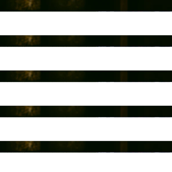 Devedikeni Tohumu Tane 100g - Resim 2