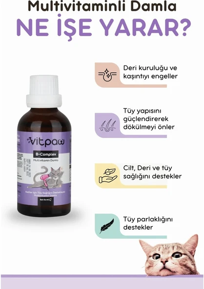 Vitpaw Kediler Için Vücut Direnci ve Tüy Sağlık Seti (Multi Paste ve B+ Complex Damla) - 3