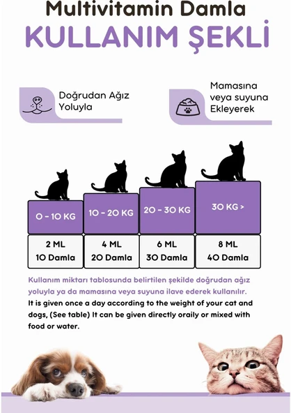 Vitpaw Kediler Için Vücut Direnci ve Tüy Sağlık Seti (Multi Paste ve B+ Complex Damla) - 4
