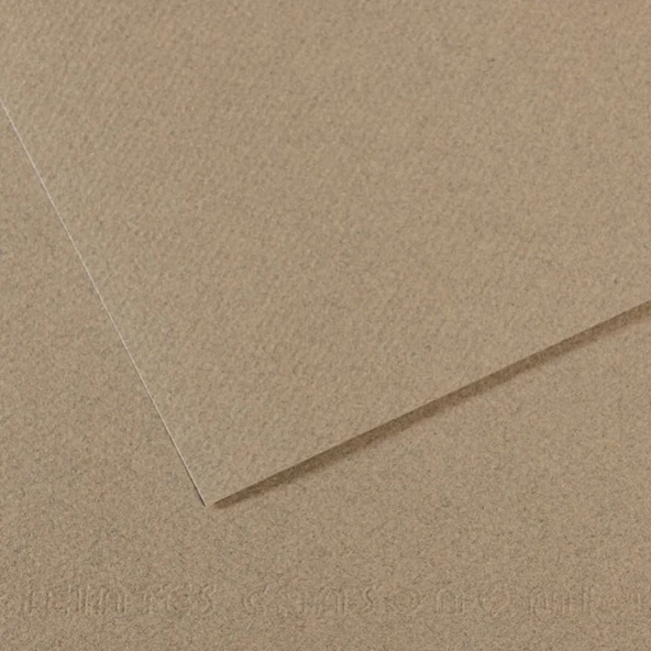 Canson Fon Karton (Dokulu) Mı-Teıntes Sh Canmt 50x65 160 GR Grey 429