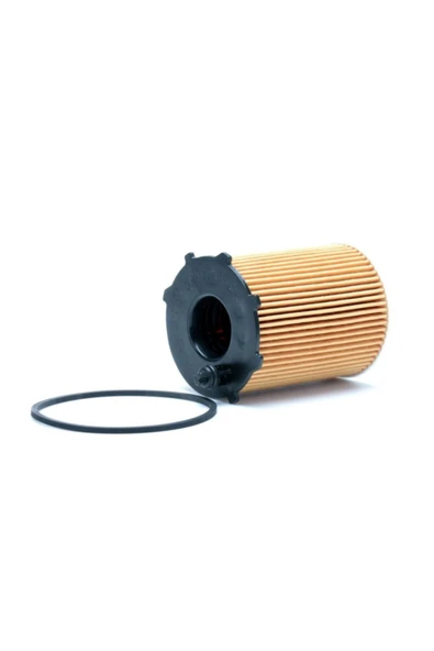 Bosch Bosch 0986tf0094 Yağ Filtresi Berlıngo-fıesta-focus-c-max-fusıon-206-207-307-308-bıpper-jum