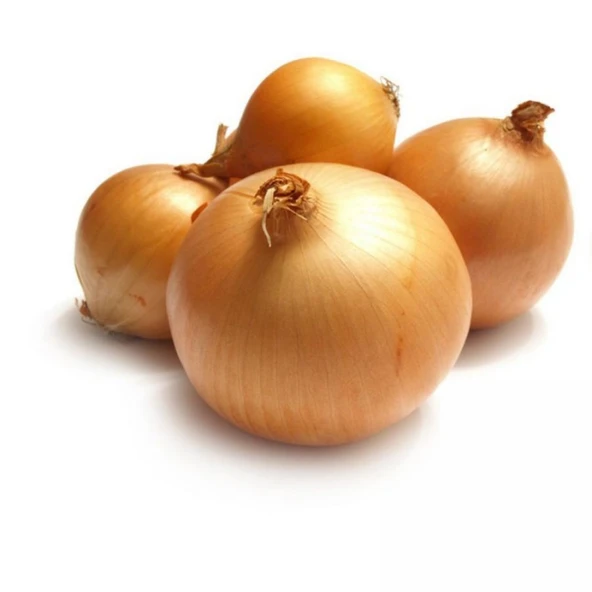 Geleneksel Ata Tohumları Bankon Soğan Tohumu(50 Tohum)