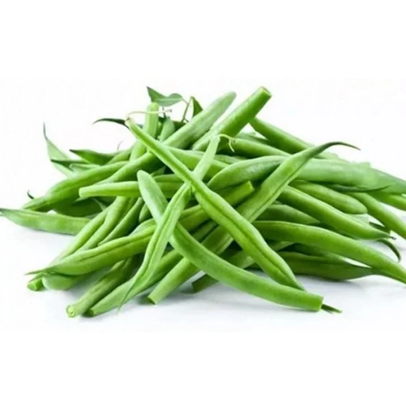 Geleneksel Ata Tohumları 40 Günlük Sazova Fasülye Tohumu (20 tohum) ürün görseli 1