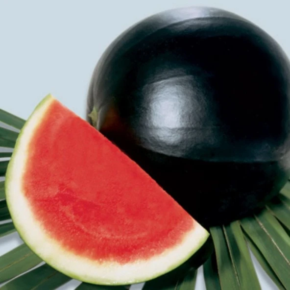 Geleneksel Tohum Siyah Washington Karpuz Tohumu (20 tohum) ürün görseli 1