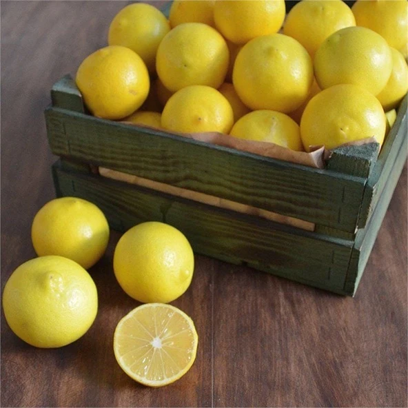 Tüplü Kokulu Nadir Bitki Bitki Tatlı Limon Şeker Limon Fidanı Seneye Meyve Verir