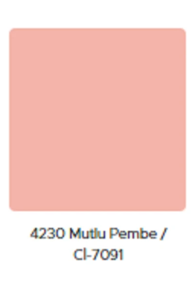 Polisan Popüler Plastik Mat Duvar Boyası 10 Kg-mutlu Pembe Rengi - 2